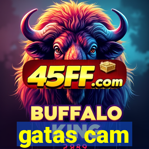 gatas cam